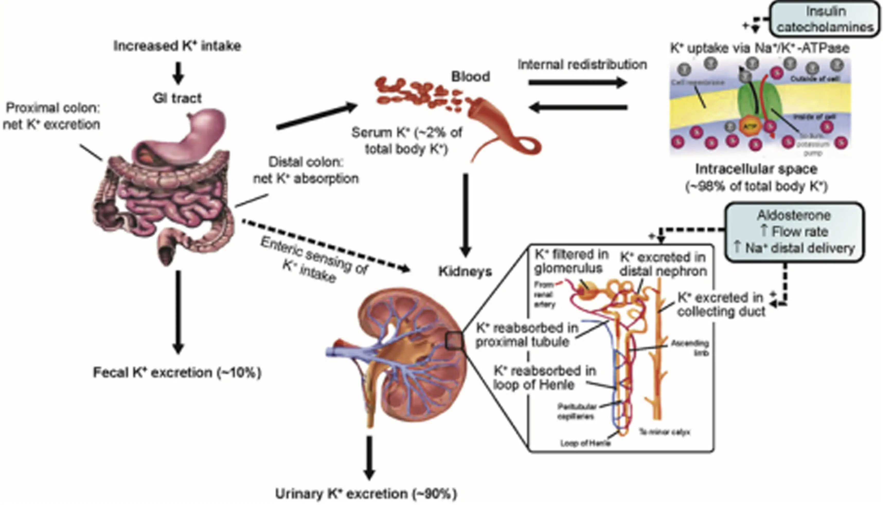 Ch29-2025-Supplementary-Fig1