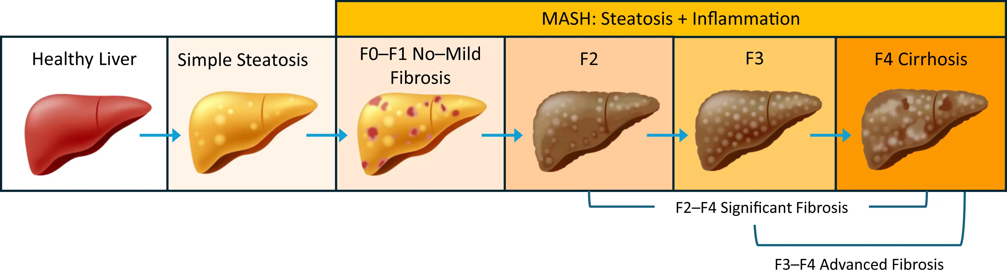 Ch42-Fig3