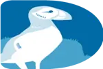 CampDouwanna