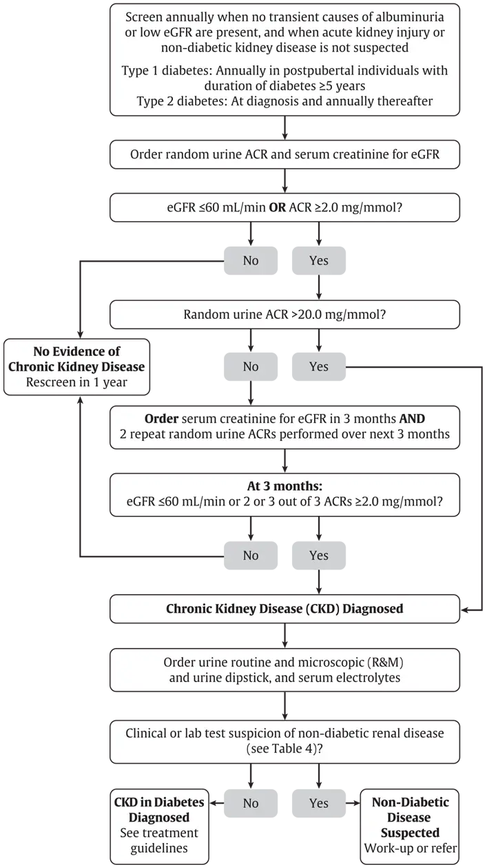 Ch29-Fig3-A-flowchart-for-screening-for-CKD-in-people-with-diabetes