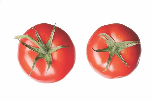 Five ways to enjoy tomatoes