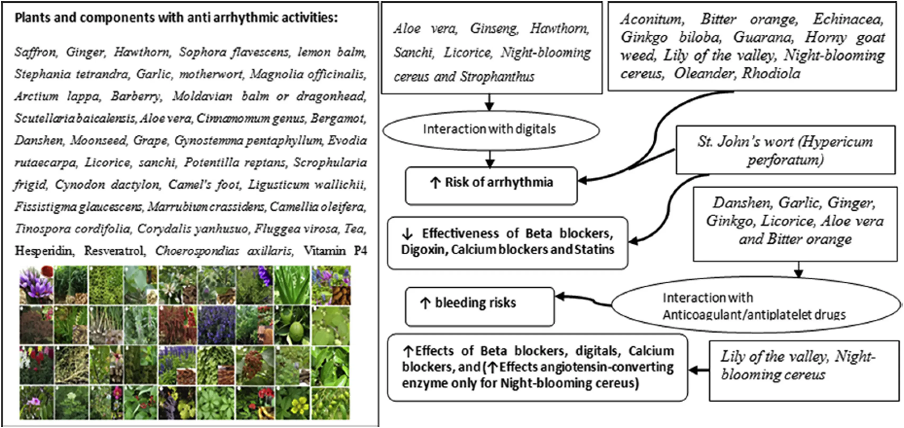 Ch29-2025-Supplementary-Fig2