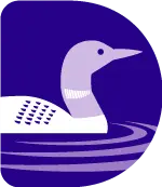 campLion