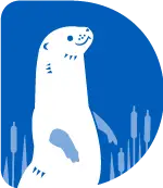 CampDiscovery