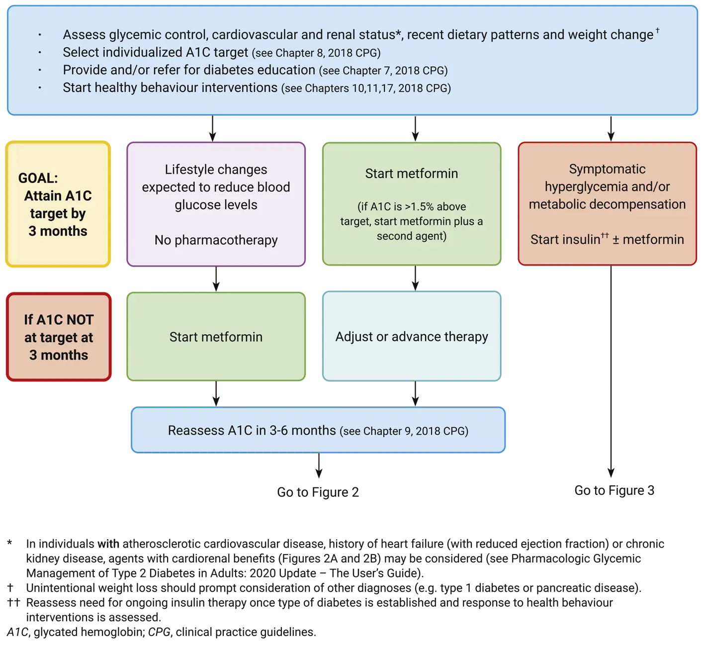 Ch13-2020-Fig1-At-diagnosis-of-type-2-diabetes