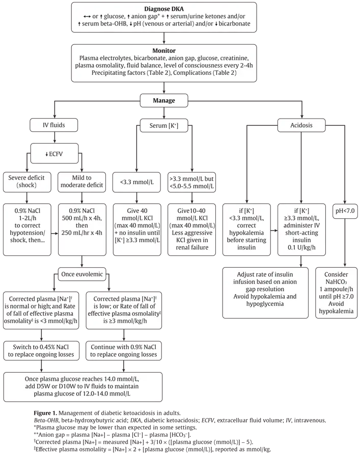 Ch15-Fig1-management-of-diabetic-ketoacidosis