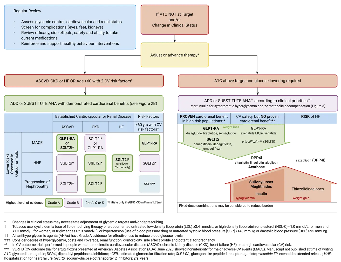 Ch13-2020-Fig2A-Reviewing-adjusting-or-advancing-therapy-in-type-2-diabetes